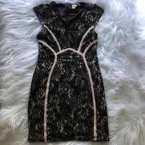 Elegant Black Lace Dress